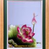 Tranh thêu hoa sen - HSLN06 2 Tranh thêu hoa sen - HSLN03